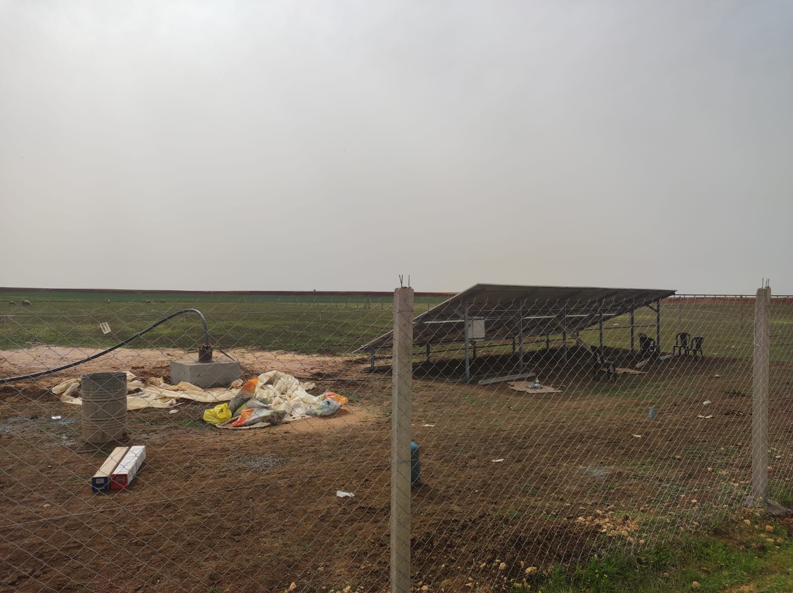 WhatsApp Image 2023-03-16 at 15.24.39