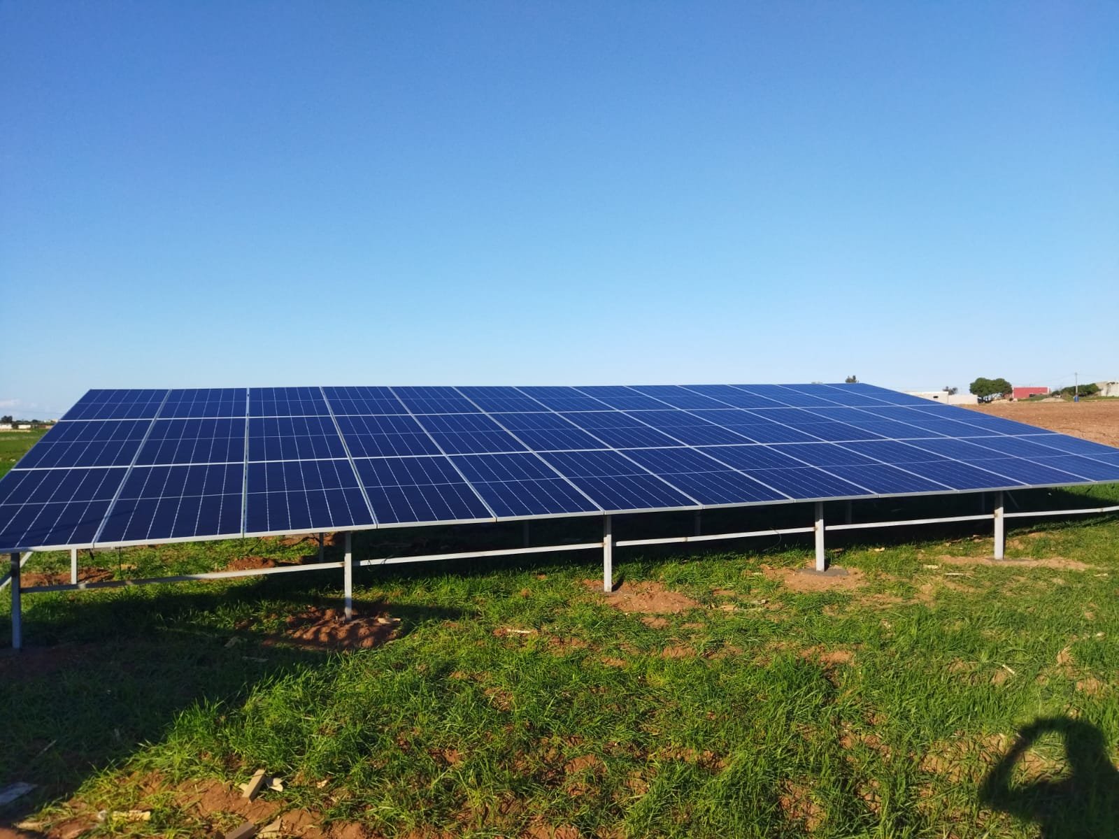 WhatsApp Image 2023-03-16 at 15.25.02