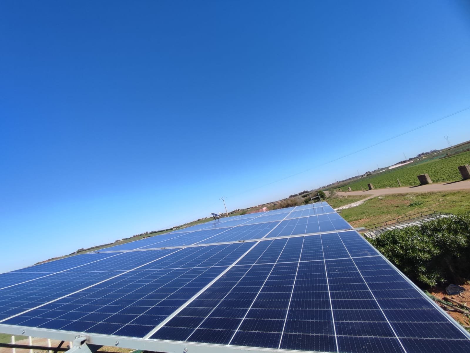 WhatsApp Image 2023-03-16 at 15.25.55