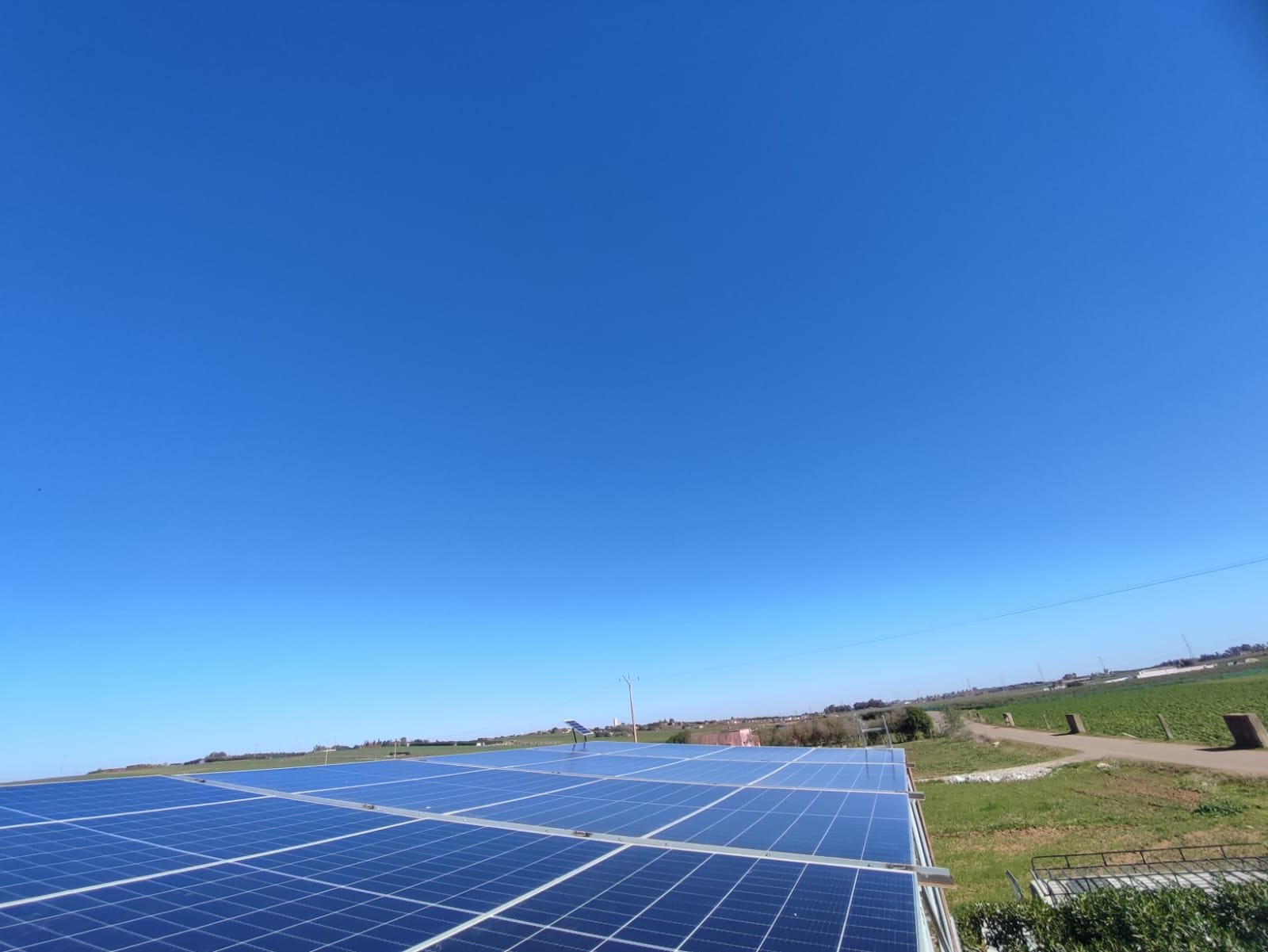 WhatsApp Image 2023-03-16 at 15.26.03