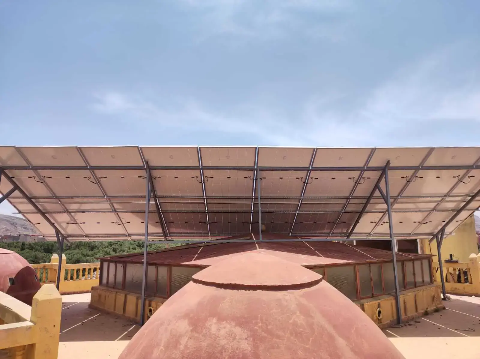 WhatsApp Image 2023-06-07 at 11.51.43